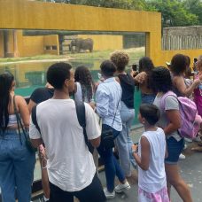 Os moradores da comunidade do Cesarão ficaram admirados com o BioParque - Prefeitura do Rio